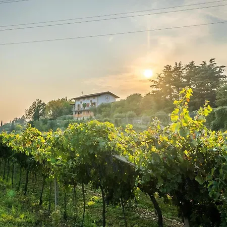 Macchia Blu 펜션 카프리노 베로네세